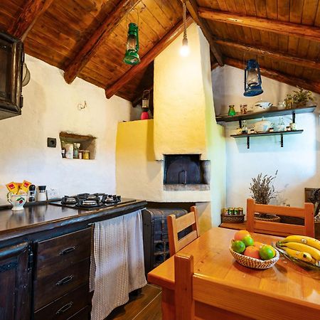 Villa Meadow Hill à Zrnovo Extérieur photo