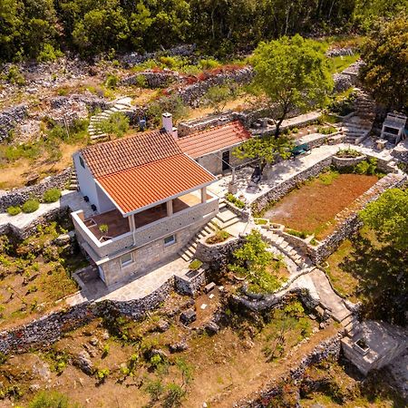 Villa Meadow Hill à Zrnovo Extérieur photo