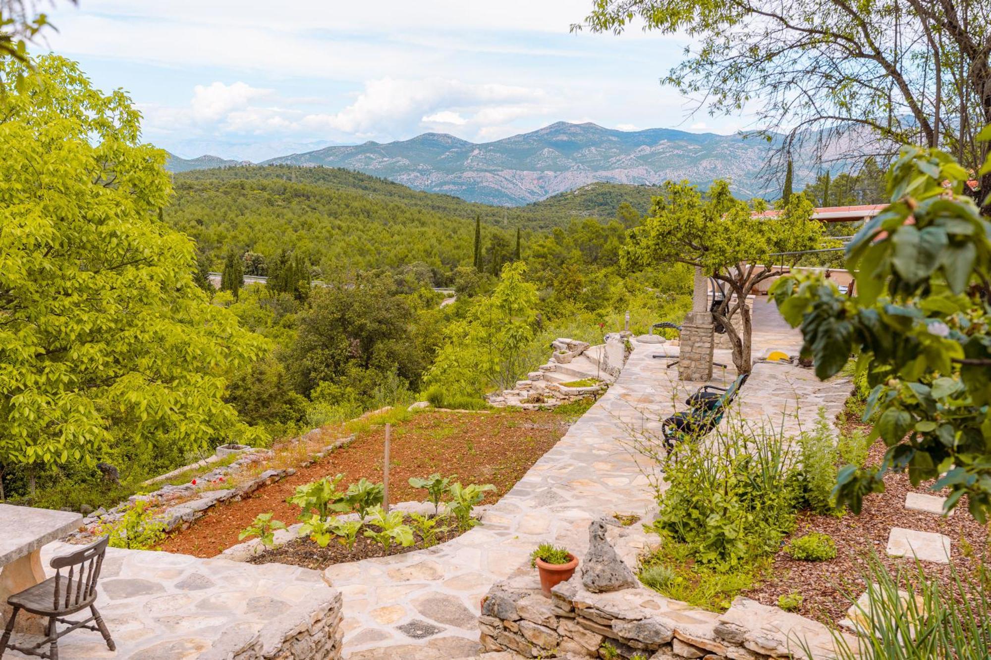 Villa Meadow Hill à Zrnovo Extérieur photo