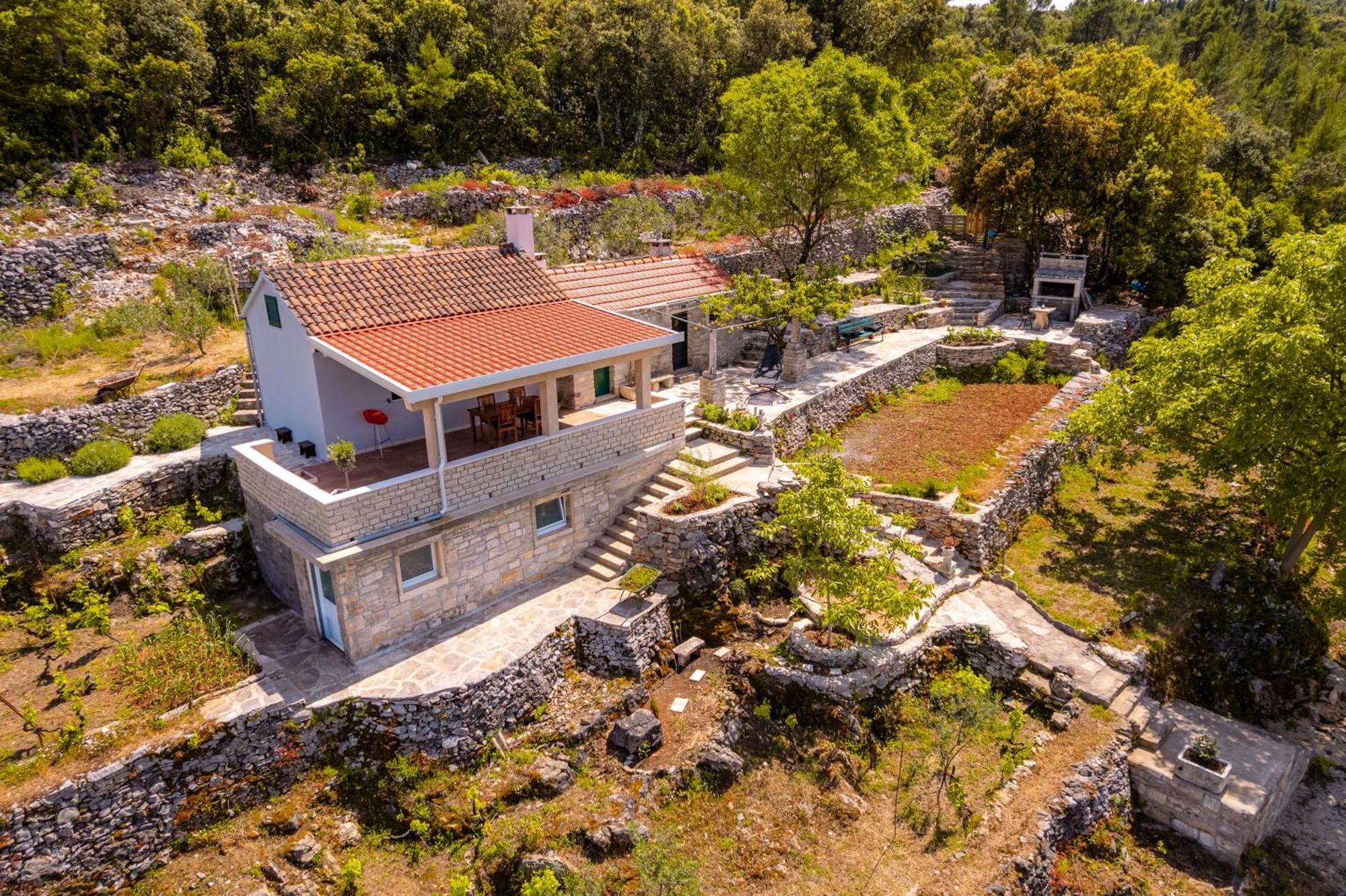 Villa Meadow Hill à Zrnovo Extérieur photo