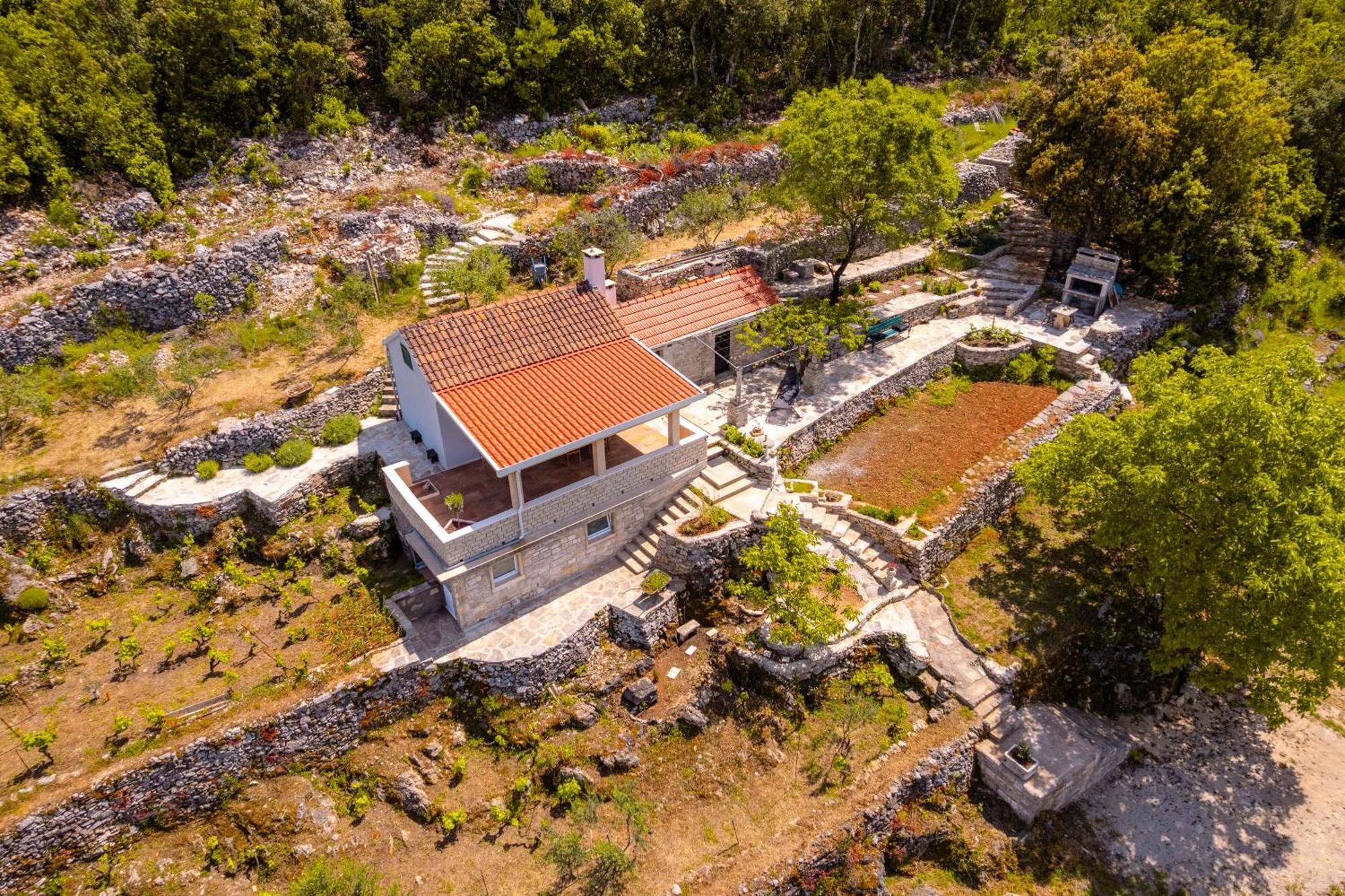 Villa Meadow Hill à Zrnovo Extérieur photo