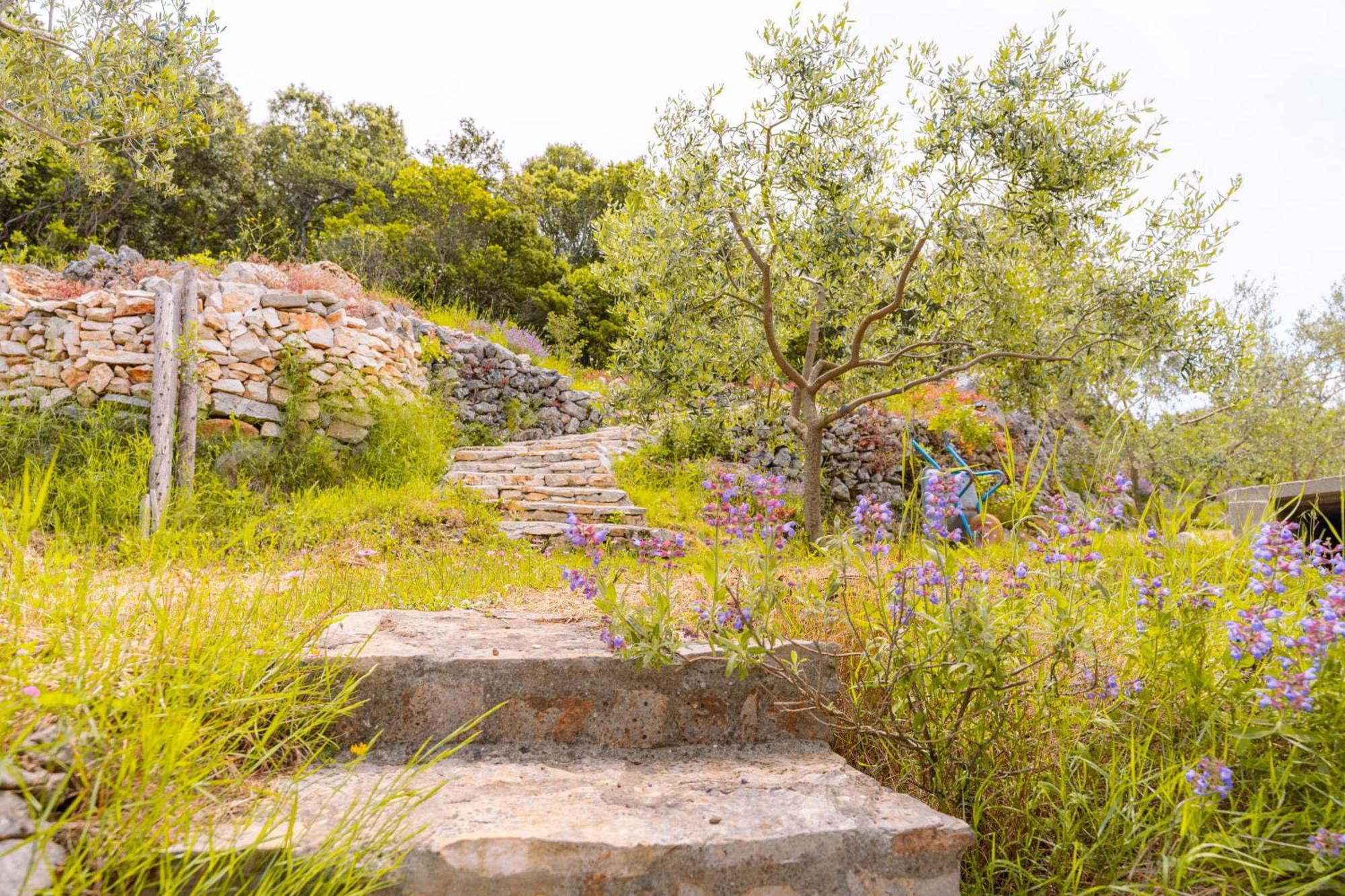 Villa Meadow Hill à Zrnovo Extérieur photo